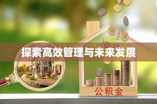 馆陶探索高效管理与未来发展