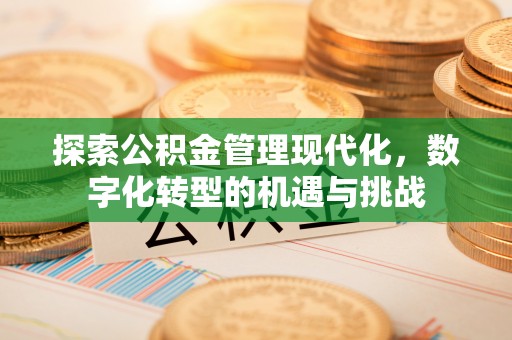 馆陶探索公积金管理现代化，数字化转型的机遇与挑战