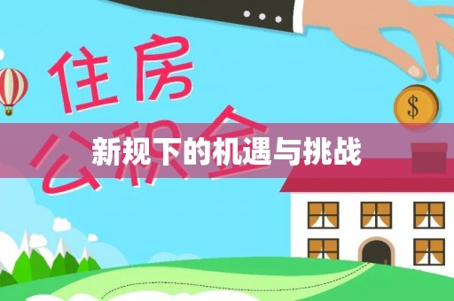 馆陶新规下的机遇与挑战