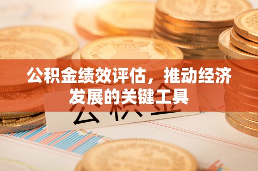 馆陶公积金绩效评估，推动经济发展的关键工具