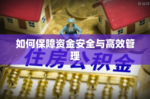 馆陶如何保障资金安全与高效管理