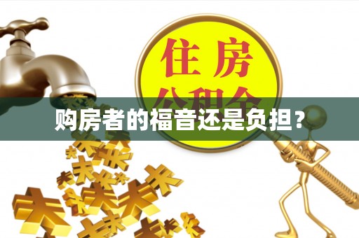 馆陶购房者的福音还是负担？