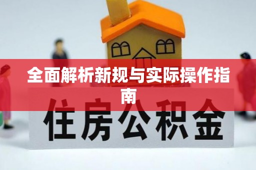 馆陶全面解析新规与实际操作指南
