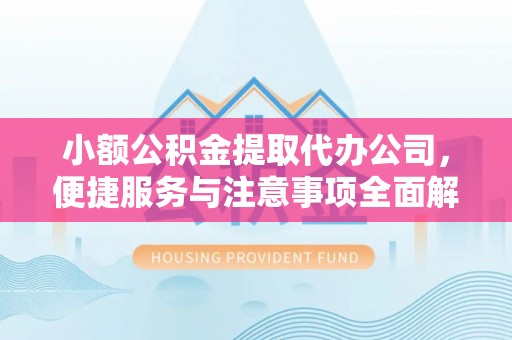 馆陶小额公积金提取代办公司，便捷服务与注意事项全面解析