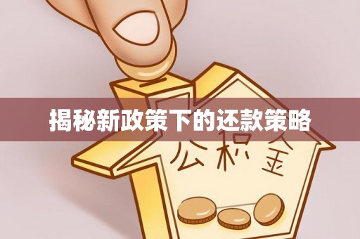 馆陶揭秘新政策下的还款策略