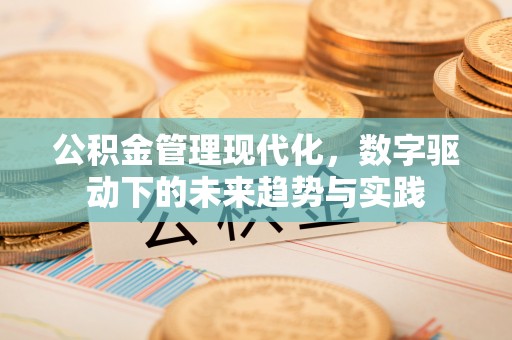 馆陶公积金管理现代化，数字驱动下的未来趋势与实践