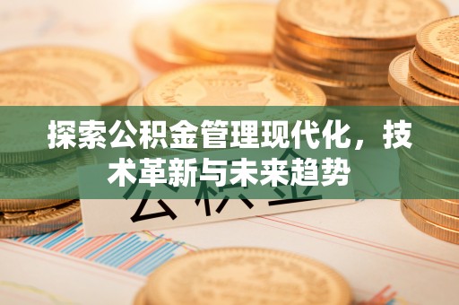 馆陶探索公积金管理现代化，技术革新与未来趋势