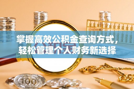 馆陶掌握高效公积金查询方式，轻松管理个人财务新选择