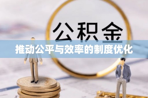 馆陶推动公平与效率的制度优化