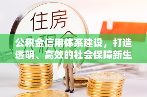 馆陶公积金信用体系建设，打造透明、高效的社会保障新生态