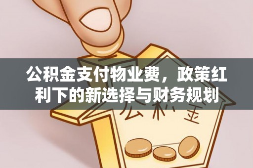 馆陶公积金支付物业费，政策红利下的新选择与财务规划