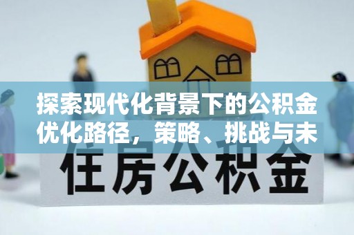 馆陶探索现代化背景下的公积金优化路径，策略、挑战与未来展望