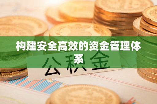 馆陶构建安全高效的资金管理体系