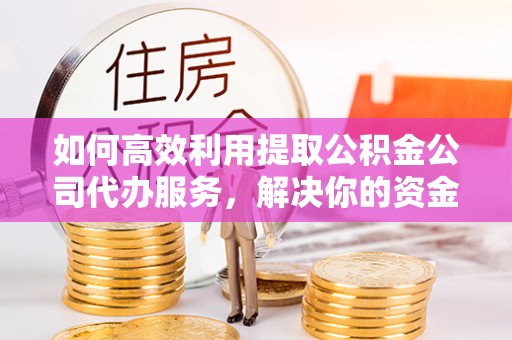 馆陶如何高效利用提取公积金公司代办服务，解决你的资金难题