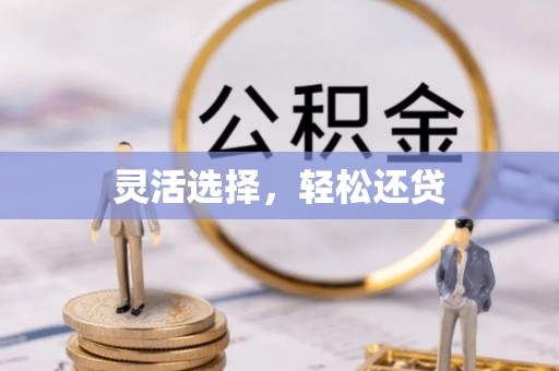 馆陶灵活选择，轻松还贷