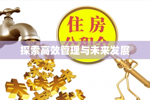 馆陶探索高效管理与未来发展