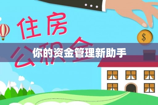 馆陶你的资金管理新助手