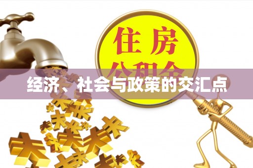馆陶经济、社会与政策的交汇点