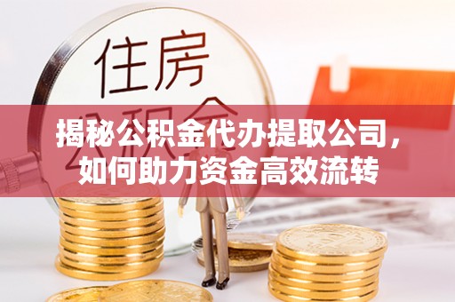馆陶揭秘公积金代办提取公司，如何助力资金高效流转