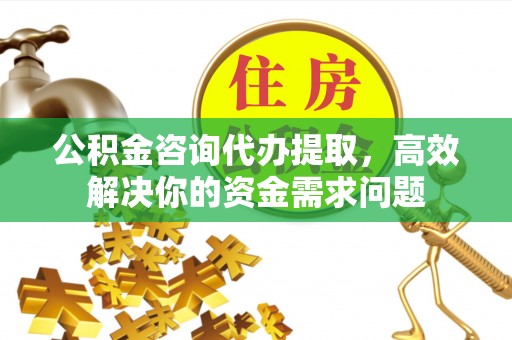 馆陶公积金咨询代办提取，高效解决你的资金需求问题