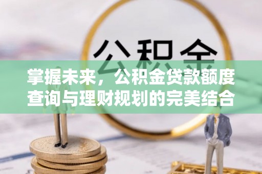 馆陶掌握未来，公积金贷款额度查询与理财规划的完美结合