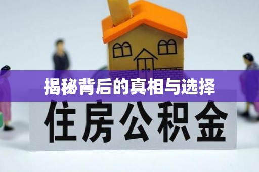 馆陶揭秘背后的真相与选择