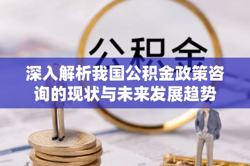 馆陶深入解析我国公积金政策咨询的现状与未来发展趋势