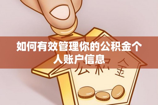 馆陶如何有效管理你的公积金个人账户信息