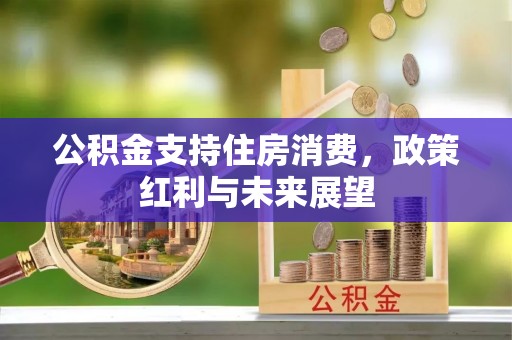 馆陶公积金支持住房消费，政策红利与未来展望