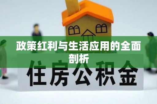 馆陶政策红利与生活应用的全面剖析