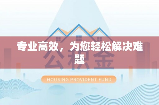 馆陶专业高效，为您轻松解决难题