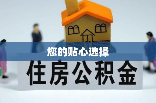 馆陶您的贴心选择