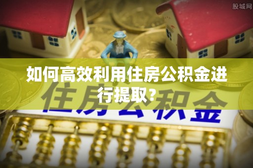 馆陶如何高效利用住房公积金进行提取？