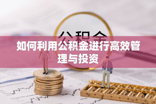 馆陶如何利用公积金进行高效管理与投资