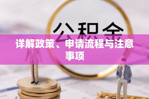 馆陶详解政策、申请流程与注意事项