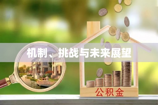 馆陶机制、挑战与未来展望