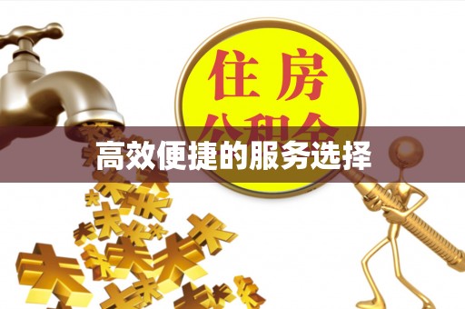馆陶高效便捷的服务选择